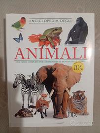 Enciclopedia per ragazzi 