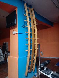 Scala ortopedica curva