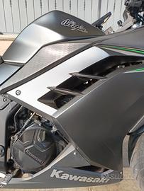 Kawasaki ninja 300 abs