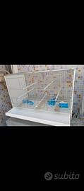 Gabbia per canarini