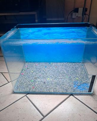 Acquario 54 litri circa