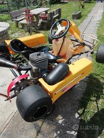 Kart pcr f1 100