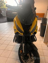 Xadv - Special Edition - 2025