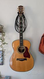 Chitarra acustica Richwood
