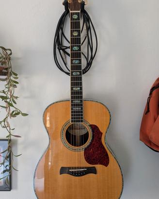 Chitarra acustica Richwood