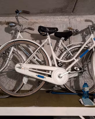 Biciclette da donna 
