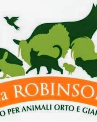 Ritiro uccellini
