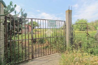 TER. AGRICOLO A ISOLA DI CAPO RIZZUTO
