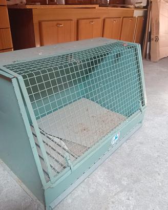 Trasporto in lamiera per cani 