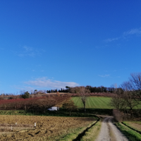 Terreni zona collinare e pianeggiante
