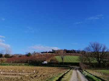 Terreni zona collinare e pianeggiante