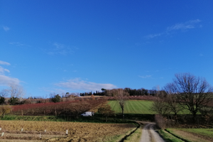 Terreni zona collinare e pianeggiante