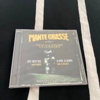 Cd piante grasse cactus