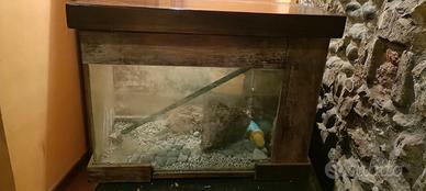 Acquario 