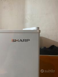 Congelatore verticale