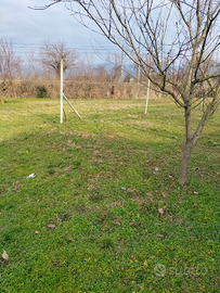 Appezzamento di terreno