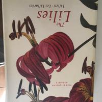 Lillá in lingua straniera