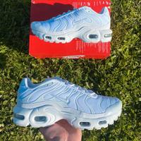 Nike Air Max Plus White EU42