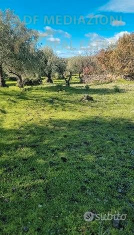 Terreno Agricolo Con Rudere - Vista 3