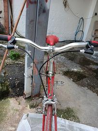 Bicicletta da Corsa Vintage 