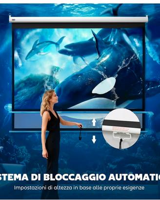 telo per proiettore 