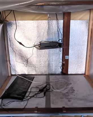 SEMENZAIO GROW BOX AUTOCOSTRUITA