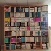 Libri in Polistirolo Decorativi 