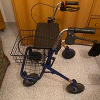 Carrello deambulatore