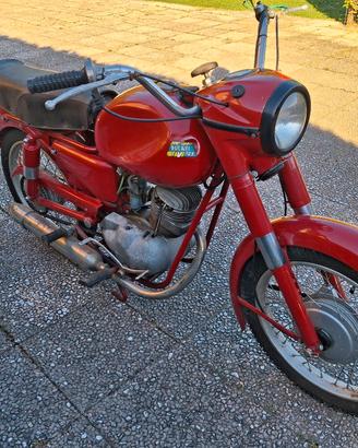 DUCATI TV 125 1957