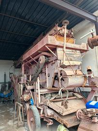 Trebbiatrice Cicoria 1956