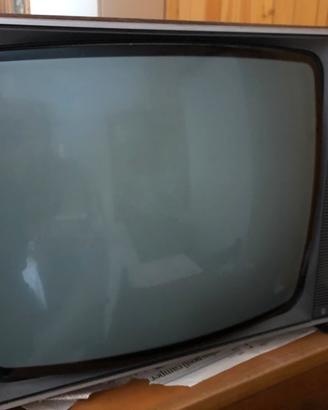 Televisore Panasonic bianco e nero