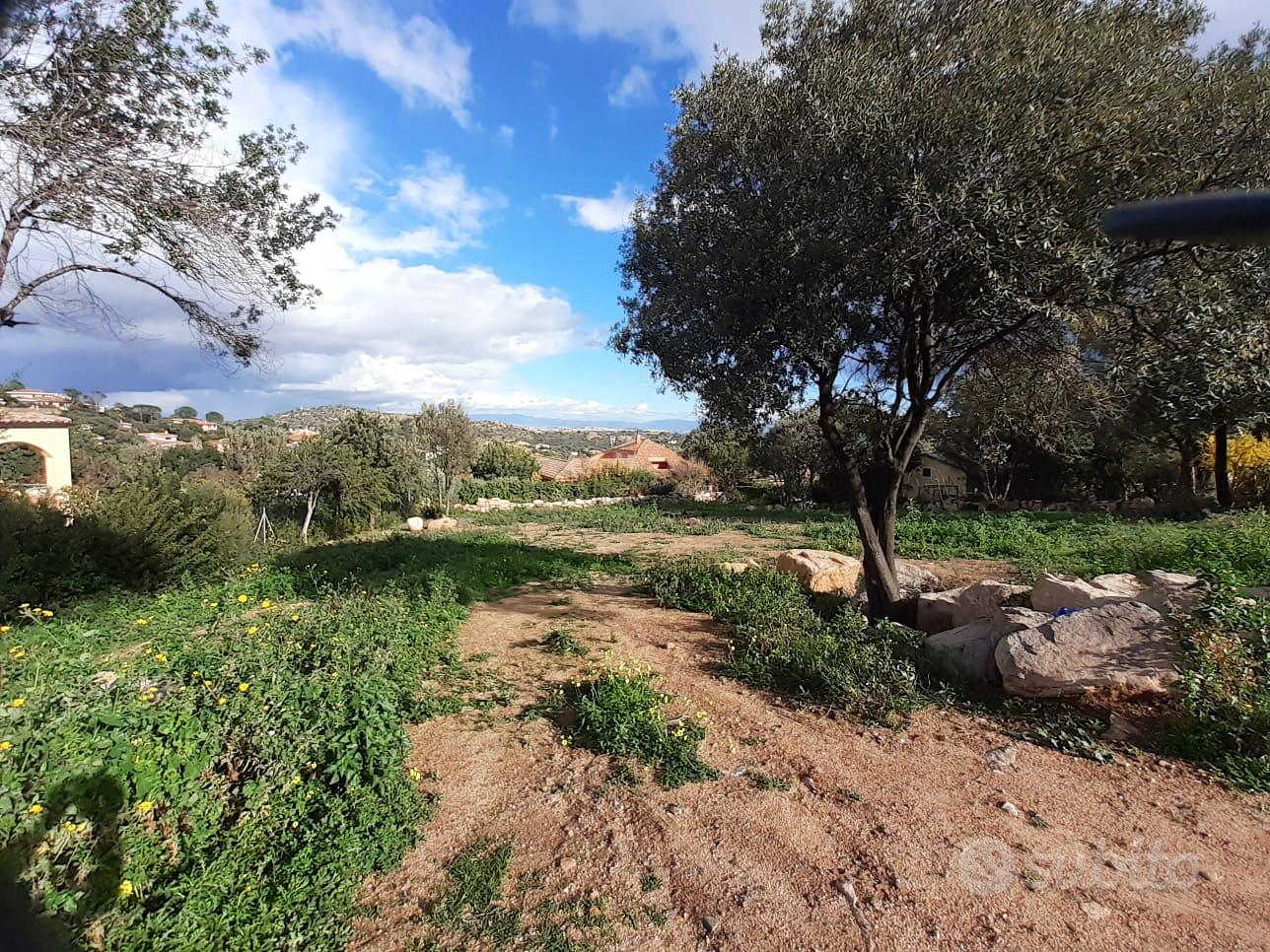 POGGIO DEI PINI TERRENO EDIFICABILE 1400 MQ - Vista 5