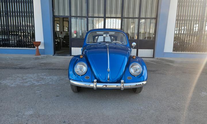 Volkswagen Maggiolino VETRO PIATTO - 6VOLT - TETTO