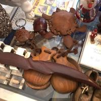 Piccole Tartarughe ed altri animali