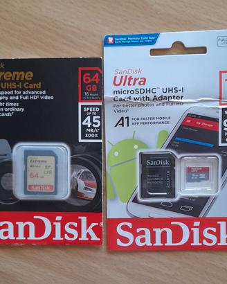 Due schede di memoria SanDisk 64gb e 16gb