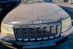 Ricambi Jeep Grand Cherokee 2004 2.7 CRD 665921