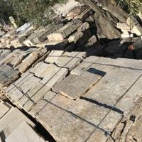 Basole color champagne