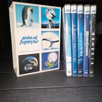 5 dvd documentario fauna/flora