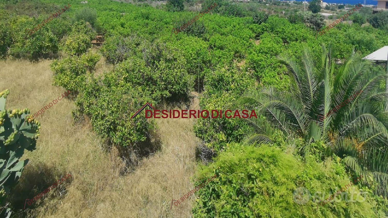Terreno, Misilmeri. - Vista 2