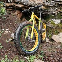 Fat Bike telaio carbonio