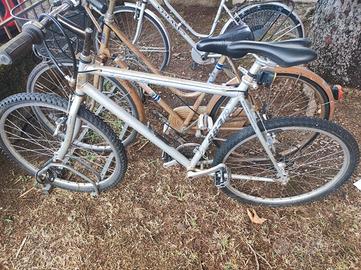 Mountain bike uomo 