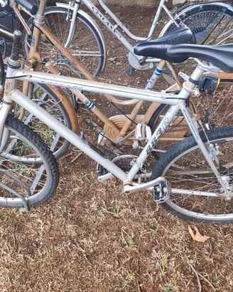 Mountain bike uomo 