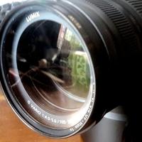 Panasonic Olympus 100-300mm F4.0-5.6 II POWER OIS