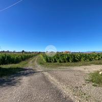 TER. AGRICOLO A CAPACCIO