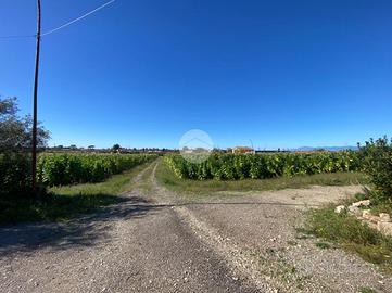 TER. AGRICOLO A CAPACCIO