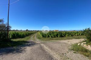 TER. AGRICOLO A CAPACCIO