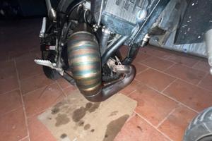 Marmitta giannelli 50/70 am6