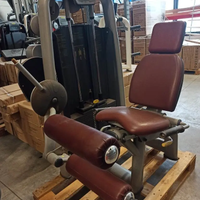 Technogym leg curl 95kg selection usato doccasione