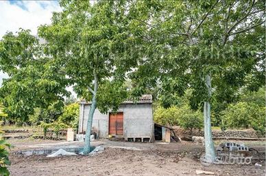 Terreno panoramico con fabbricato a Mascali