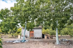 Terreno panoramico con fabbricato a Mascali